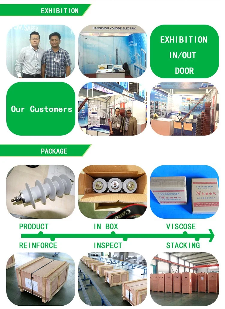 Mv Composite Metal Oxide Surge Arrester Without Gaps